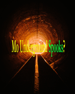 Read more about the article Underground Spooks 102112
