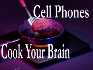 Read more about the article Cell Phones Cook Your Brain 502112